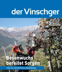 Besenwuchs bereitet Sorgen