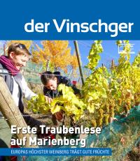 Erste Traubenlese  auf Marienberg