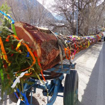 Lootscher Fosnocht 2019; Fotos: Sepp