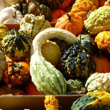 Matthäusmarkt 2018 in Prad; Fotos: Sepp