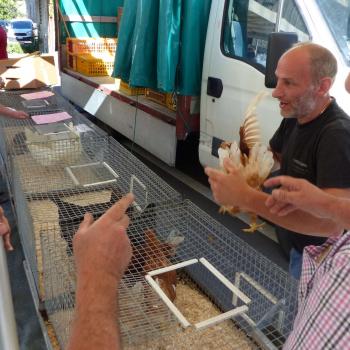 Sonnta-Hons-Morkt in Prad, 24. Juni 2019; Fotos: Sepp