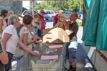 Sonnta-Hons-Morkt in Prad, 24. Juni 2019; Fotos: Sepp