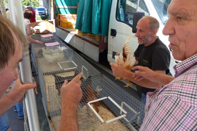 Sonnta-Hons-Morkt in Prad, 24. Juni 2019; Fotos: Sepp